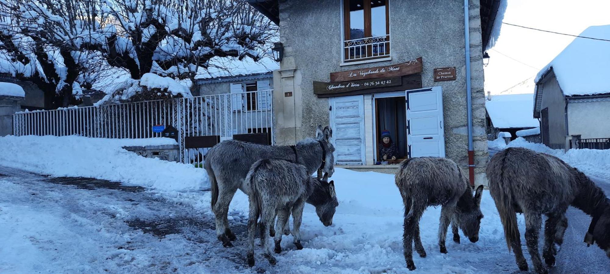 Les Vagabonds Du Mont Bed & Breakfast Chichilianne Luaran gambar